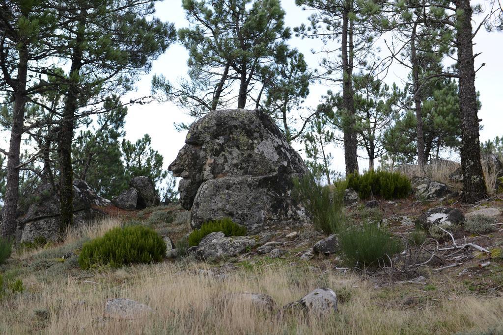 Terra Mista Alojamento Local Говея Экстерьер фото
